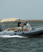 Bat Marine image 1
