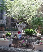 Saint Anthony, Majestic Care image 7