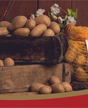 Siemer's Hofladen Bild 3