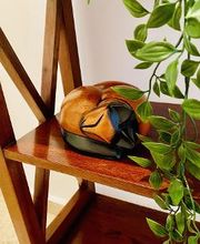 Funema Alzira imagen 13