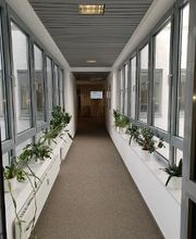 Langer Flurgang links und rechts Fensterfronten mit Blumentöpfen