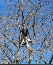 Eifel Cleaning Service Bild 11