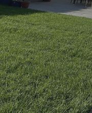 Panther Service Raci Bild 5