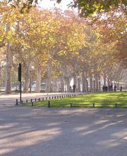 Agence immobilière Laforêt Montpellier Port Marianne image 5