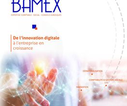 Bamex image 2