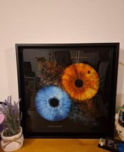 Iris Galerie image 10