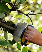 Noir jeson Espace vert LUGI image 4