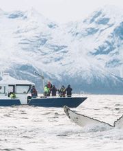 Optique Perret Bild 14