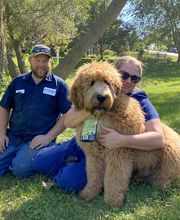 Dog Guard Midwest image 7