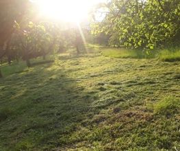 Garten- und Landschaftspflege Ulmann Bild 3