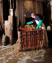 Gerberei Trautwein Bild 9