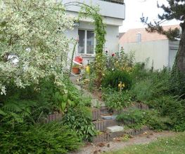 Schneider Garten Bild 5
