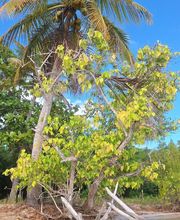 Smiley Location image 10