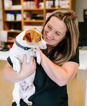 Twin Oaks Veterinary Clinic image 2