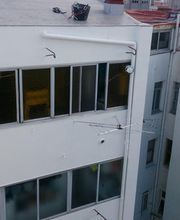 Archivo_004 (3).jpeg