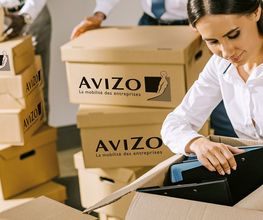 Avizo image 6