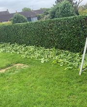 Christophe Lavieille image 1