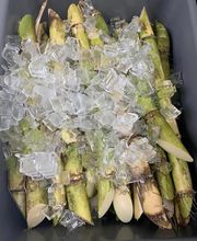 Coco Loco Smoothies Juices & Eats image 18