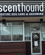 Scenthound Mountain Brook image 1