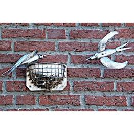 Schwalbennest (Kita)