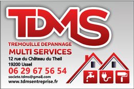 TDMS