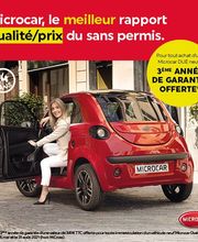Voiture Sans Permis image 10