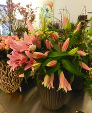 Rosanella Blumen Bild 2