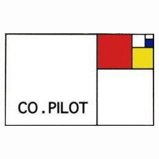 Co-Pilot