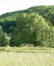 Poumirol Nathalie image 3