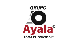 Michelin Car Service Grupo Ayala Navarrete