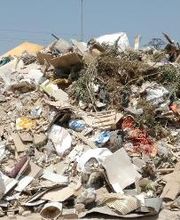 Contenedores Doma imagen 15