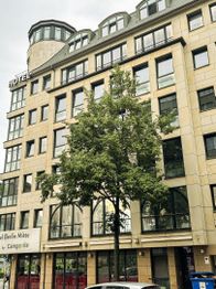 Hotel Berlin Mitte by Coffee Fellows