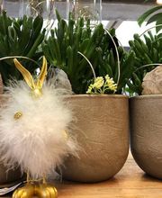 Blumen Interfleur Floristik & Wohnaccessoires Bild 15