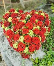 Magnolia Floristik Bild 4