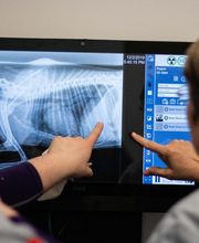 Riverbend Veterinary PetCare Hospital image 5