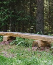 Bänke an den Waldwegen laden zum Verweilen im FriedWald Friedenweiler ein.