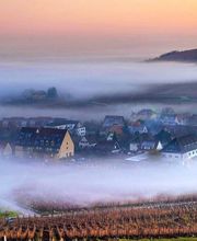 Hotel Le Riquewihr image 16