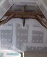 Testut Thierry image 2