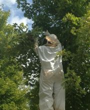 Peachtree Pest Control image 4