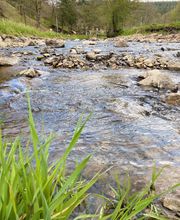 CAMPING DU MOULIN image 7