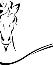 Fauche Philippe image 6