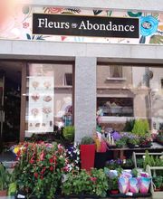 Fleurs en Abondance image 7