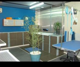 Toutou Clean.com image 17