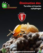 TMD Environnement image 1