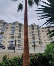 Alp'azur Elagage image 6