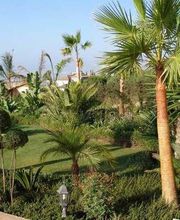 Fantastic Gardens imagen 8