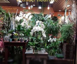 Exotica image 19