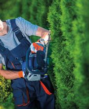 Impec Nettoyages SA Bild 5