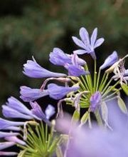 smartART cosmetics Bild 6