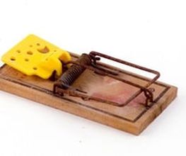 Axel Schädlingsbekämpfung e.K. Bild 1